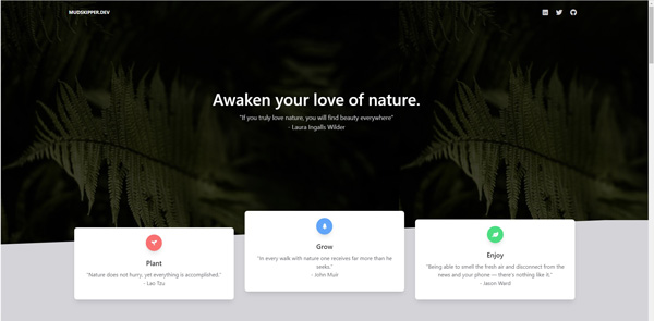 Screenshot of website