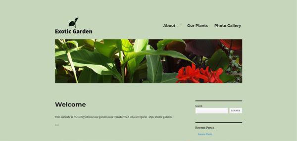 Screenshot of website