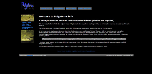 Screenshot of website
