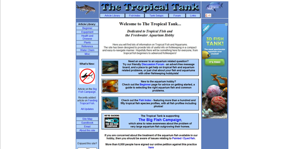 Screenshot of website