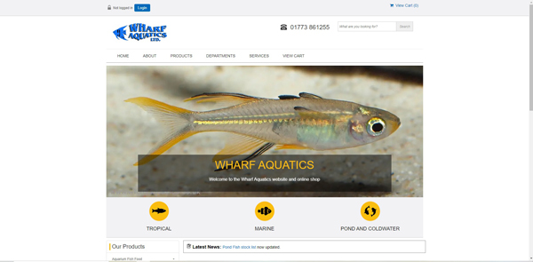 Screenshot of website